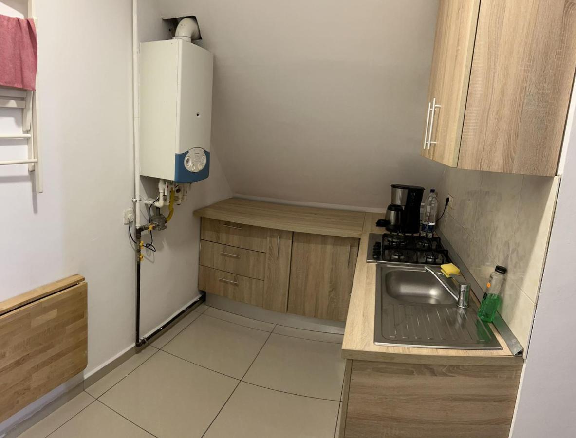 Apartamento Chez Ana Otopeni Exterior foto